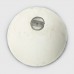 Bottom - 306 - B  50X50